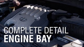 Cleaning Your Engine Bay | Autoblog Details | Complete Detail ep 2