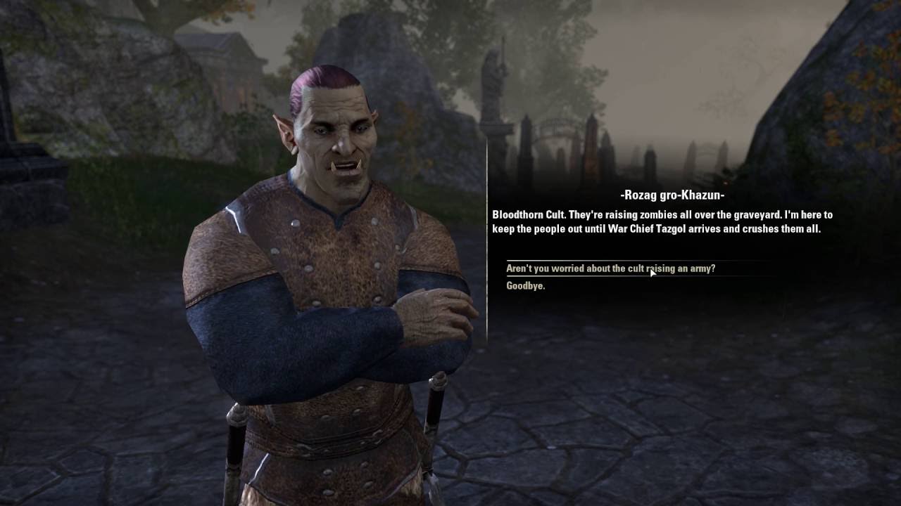 Elder Scrolls Online 1080p Max Settings 1060 GTX 6gb Part 4 YouTube