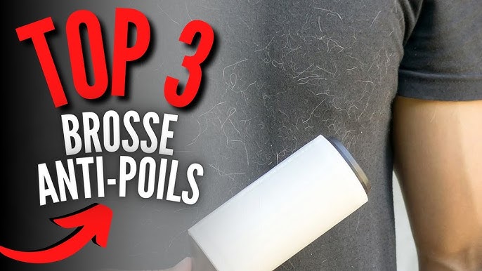 Quelle Brosse Anti Poils Efficace Choisir? TOP 3, Comparatif