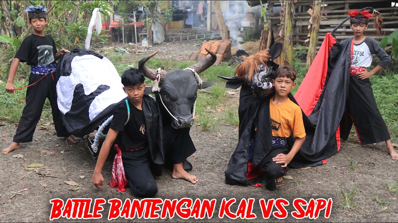 BATTLE BANTENGAN ICAL VS BANTENGAN SAPI JUMBOO | DJ TAKBIRAN 2025