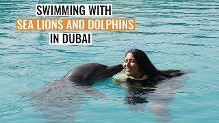 Sea Lion and Dolphin Encounter at Atlantis Dubai | Rayna Tours