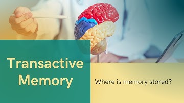 The Theory of Transactive Memory.