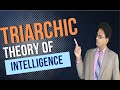 Triarchic Theory of Intelligence Made Easy | Education Talks