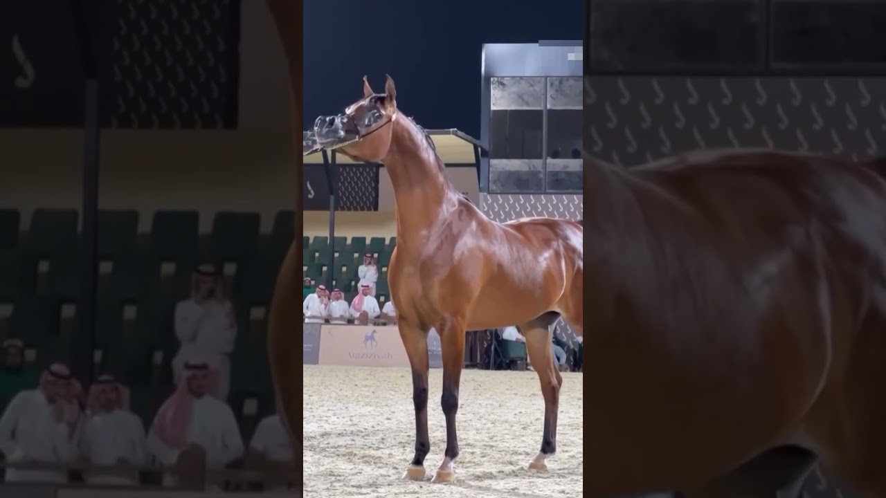 #infinitybassboosted