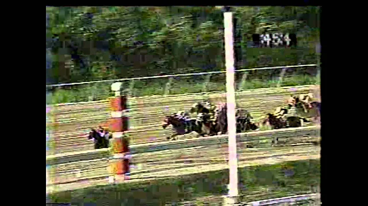 MARTIN A - Vence a Wi Corujo - 22 Enero 1992