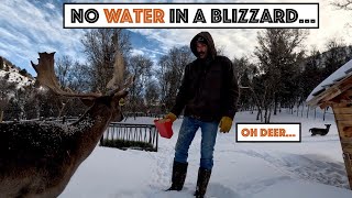 No Water In A Blizzard... Oh Deer! 1969 Ford Diesel Is Ready For Tear Down!