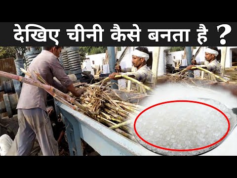 वीडियो: घर पर चीनी कैसे बनाये