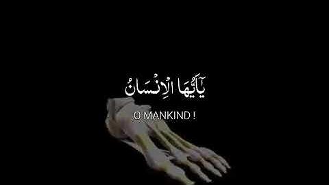 شيخ عبدالباسط عبدالصمد _ اجمل حالات واتس اب دينية _ سورة الانفطار