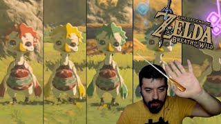 Kiz Kardeşleri̇n Provasi The Legend Of Zelda Breath Of The Wild