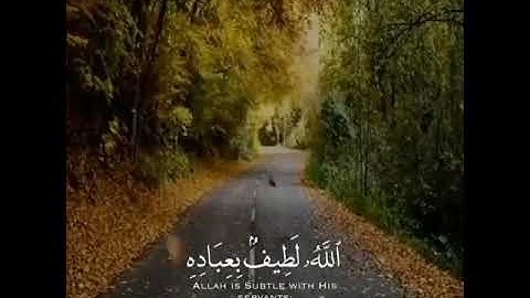 مقطع قرآن قصير بصوت جميل ستوري قرآن واتس ستوري انستا حالات واتس حالات انستا قرآن كريم 💜