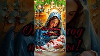 С Рождеством Христовым ❤️ Мира и Добра ❤️🙏#православие