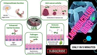 lactobacillus microbiology lecture ||lactobacillus casei ||Easy Microbiology