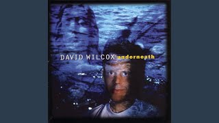 Watch David Wilcox Home Within Your Heart video