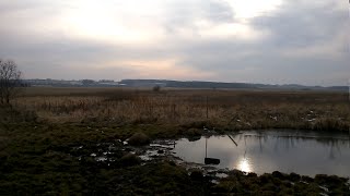Abnormal Sounds from the Sky - DREADFUL PHENOMENON