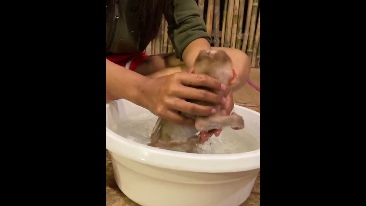 Baby Tav Tav Angry Mom Let Him Waiting long Time, Refuse To Talk To Mom