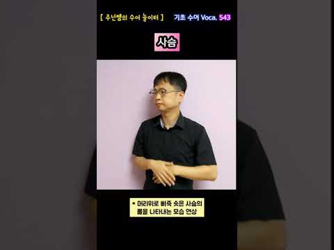 [ 기초 수어 Voca ] 543. 사슴 - 수화배우기 [주넌쌤의 수어놀이터]