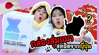 กล่องสุ่มแมว สุดฮิตจากญี่ปุ่น | Ochymy Toys