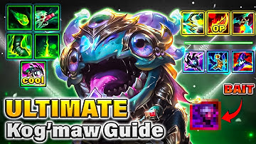 Everything You Need to Know About Kog