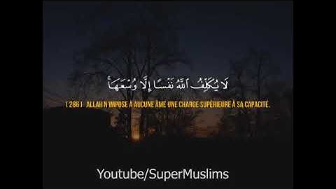 اسلام صبحي - خواتيم سوره البقره حاله واتساب