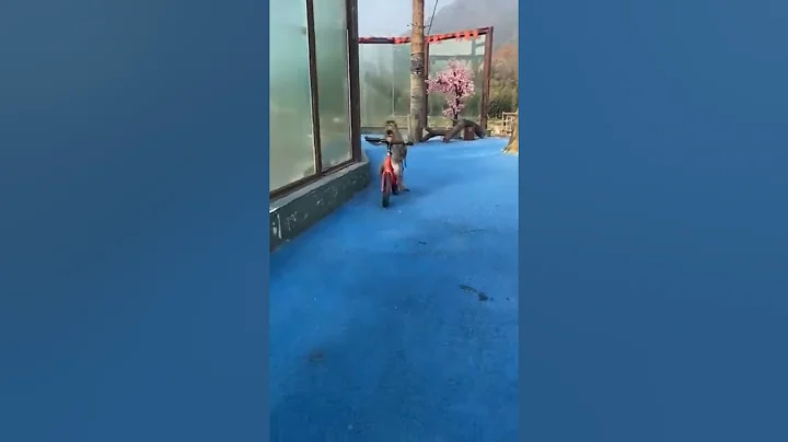 Funny Monkey Riding cycle 🐒#shorts