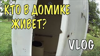 ТУАЛЕТ УЖАСОВ) прогулка пешком по нашей Американской деревне ВЛОГ 214 ЖИЗНЬ В США Olga Lastochka ТУАЛЕТ УЖАСОВ) прогулка пешком по нашей Американской деревне ВЛОГ 214 ЖИЗНЬ В США Olga Lastochka