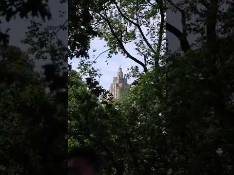 تخي ل حديقة بيتك هي سنترال بارك