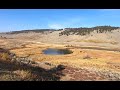 Yellowstone National Park. Потрясающие виды.  День 1. Отпуск в США.