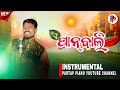 Pan bali  new sambalpuri instrumental song  partap piano youtube channel 