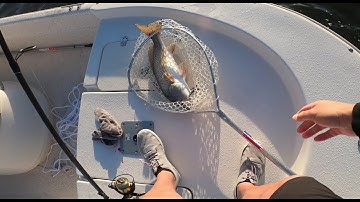 North Carolina Speckled Trout Fishing Fall Season 2021 Southern OBX, NC