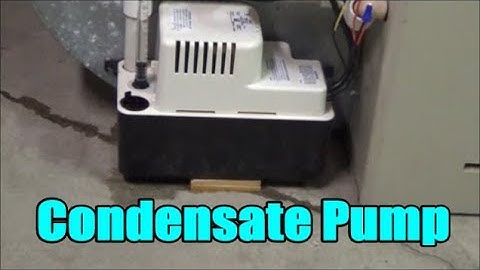 How to Install / Replace a Condensate Pump | Little Giant