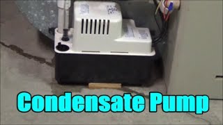 How to Install / Replace a Condensate Pump | Little Giant