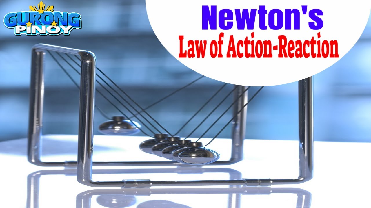 Newton's 3rd Law of Motion (Law of Action-Reaction) - YouTube