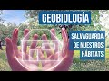 🟢 La GEOBIOLOGÍA. Salvaguarda de nuestros hábitats y PROFESIÓN para el SERVICIO. (Pedro Luquin)