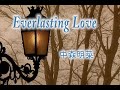 (カラオケ) Everlasting Love / 中森明菜