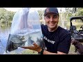 Stocking My Monster Bass Pond with THOUSANDS of Fish!