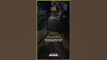 #أحمددرويش #القران_الكريم #quran #تلاوات #islam #foryoupage #explore #islamic #muslim #foryou