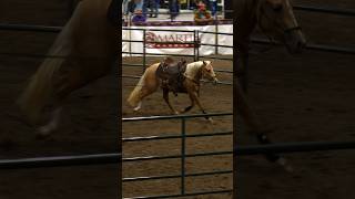 Don't trust a colt with a saddle until you've saddled them 14 days in a row #applythemethod