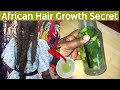 A Caribbean hair growth secret for MASSIVE HAIR GROWTH | Better than Aloe Vera? Tuna Plant