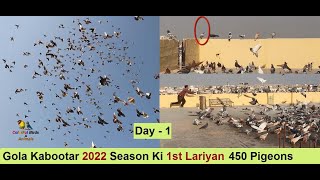 Gola Kabootar 2022 Season Ki 1st Lariyan 450 Pigeons  Gola Pigeons LOFT in Pakistan  Day  1