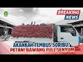 MENDEKATI LEBARAN HARGA BAWANG NAIK DRASTIS | INFO HARGA BAWANG MERAH HARI INI TERBARU