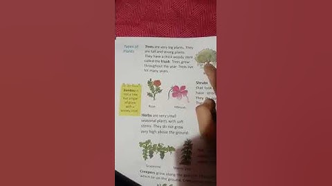 Class 2 Science chapter 1 Part2