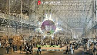 STACKING UP MY BILL$ - BILL SNOWBAK (VISUALIZER)