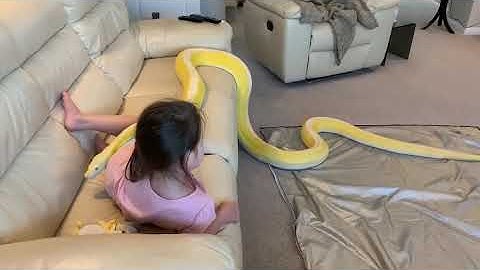 Retics and chill with 16ft Reticulated Python