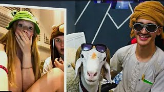 رد فعل الاجانب من كبش العيد screenshot 4