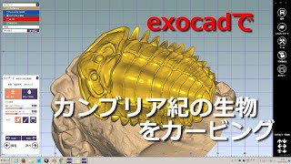 exocadでカンブリア紀の生物を作る