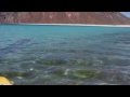 GIANT OARFISH FILMED IN MEXICO