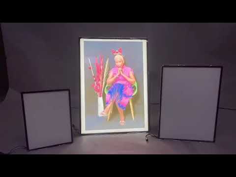 Led Plasma Photo Frame (A4 Size)