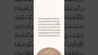 إستمع وإقرأ سورة المزمل الآية ٢٠ الشيخ علي الحذيفي