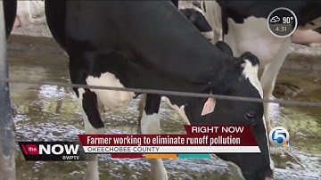 Farmer working to eliminate runoff pollution