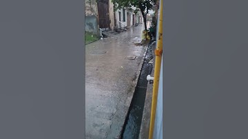 Thumbnail of rainy day